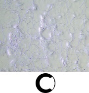 product_gx53_observation_06.jpg product_gx53_observation_06.jpg